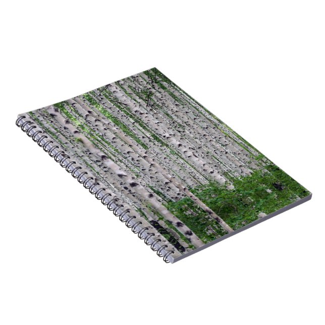 Carnet Forêt de Birch Nature (Côté Droit)