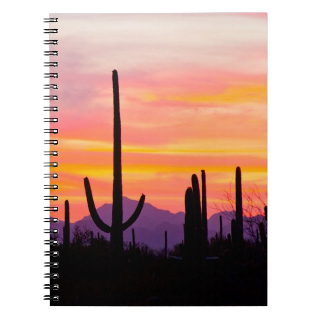 Carnet Forêt de Cactus du Saguaro au coucher du soleil (Devant)