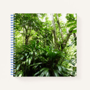 Carnet Forêt de pluie dominicaine I Nature verte tropical