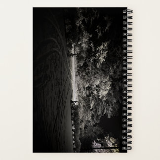 Carnet Forêt enneigée la nuit