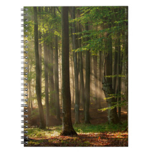 Carnet Forêt   Forêt d'automne