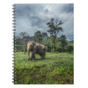 Carnet Forêt   Parc national de Kao Sok