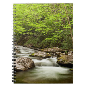 Carnet Fourche droite traverse la forêt