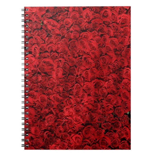 Carnet Fracas de rose rouge (Devant)