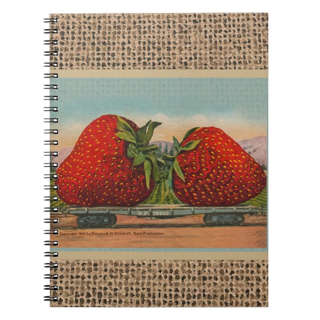 Carnet Fraises Géant Antique Fruit Amusement (Devant)