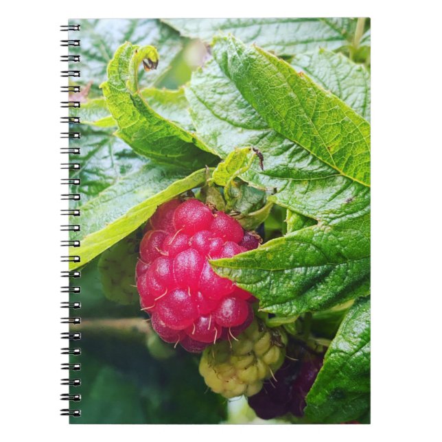 Carnet framboise (Devant)