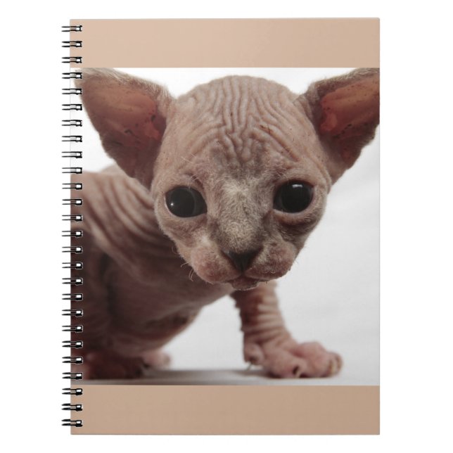 Carnet Freaky Cute Furless (Devant)