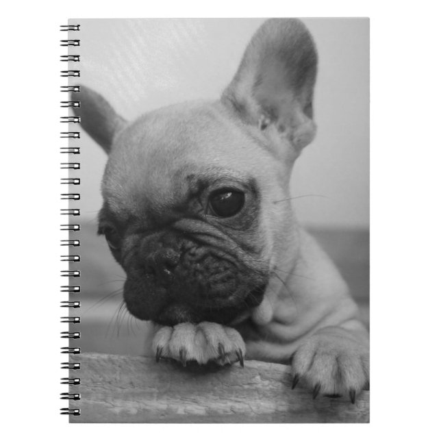 Carnet Frenchie puppy (Devant)