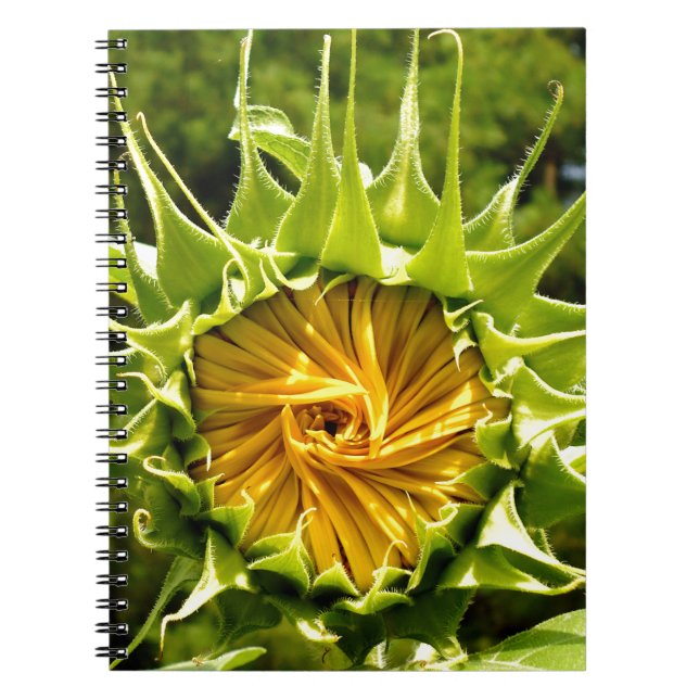 Carnet Fun jaune floral tournesol (Devant)