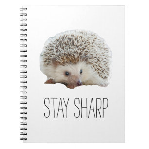 Carnet Funny mignon hérisson rester pointu citation hipst