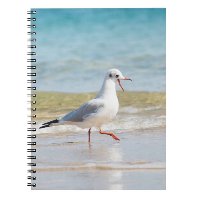 Carnet Funny seagull (Devant)