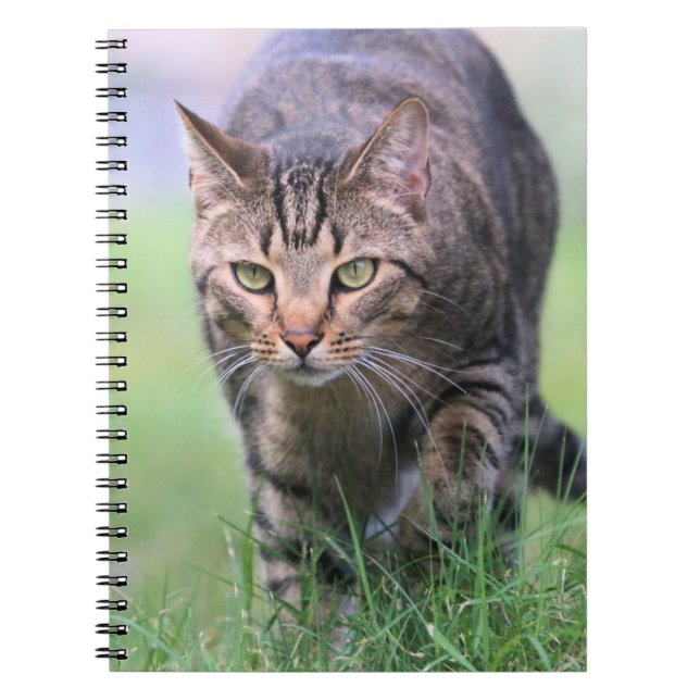 Carnet Gabe (Devant)