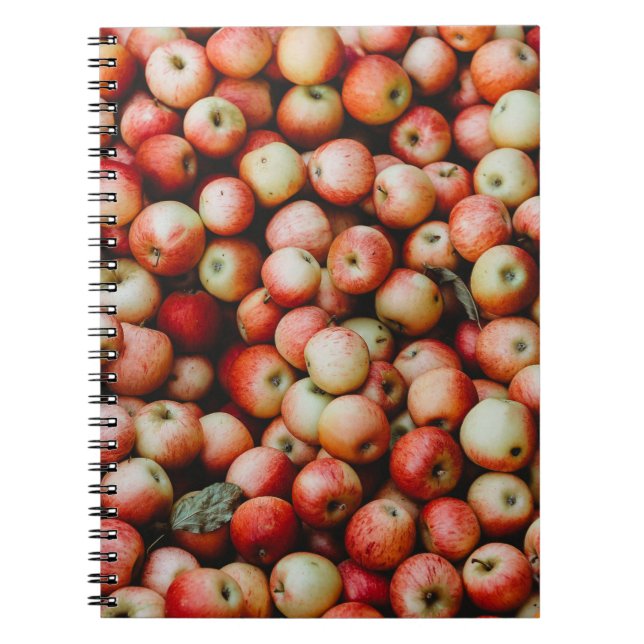 CARNET GALA POMMES (Devant)