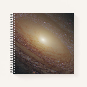 Carnet Galaxie Spirale Ngc 2841