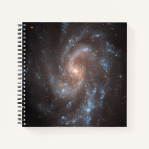 Carnet Galaxie Spirale Ngc 5584
