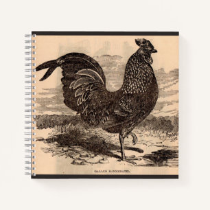 Carnet Galus Sonneratii du 19e siècle