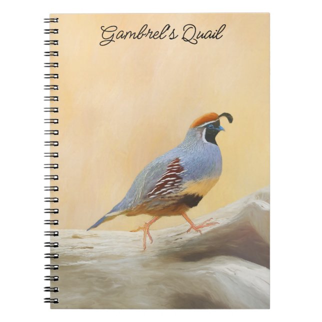 Carnet Gambrel's Quail Painting Original Bird Art (Devant)