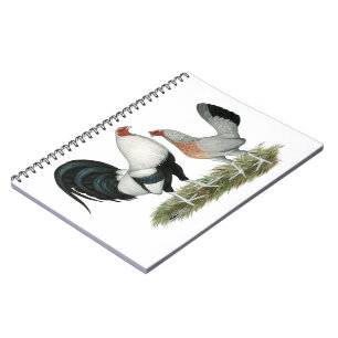 Carnet Gamefowl argenté