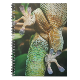 Carnet Gecko Feet