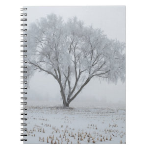Carnet Gelée sur un arbre solitaire