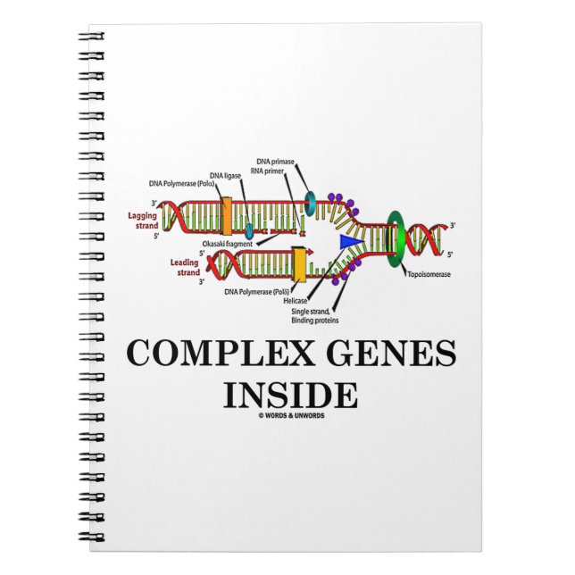 Carnet Gènes complexes à l'intérieur (réplication de l'AD (Devant)