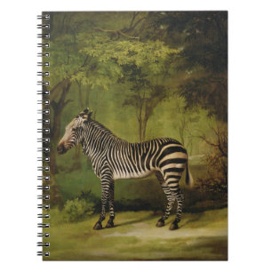 Carnet George Stubbs un zèbre, 1763 (huile sur la
