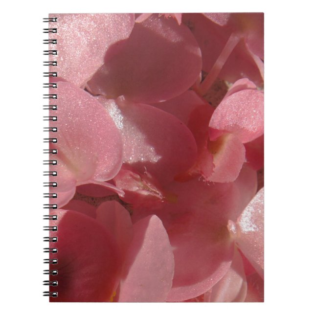 Carnet Géranium rose : presque solide Rose clair (Devant)
