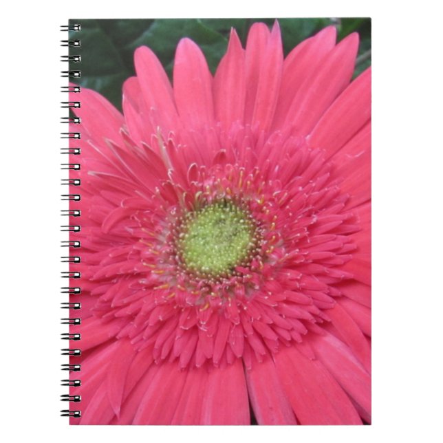 Carnet Gerbera Daisy (Devant)