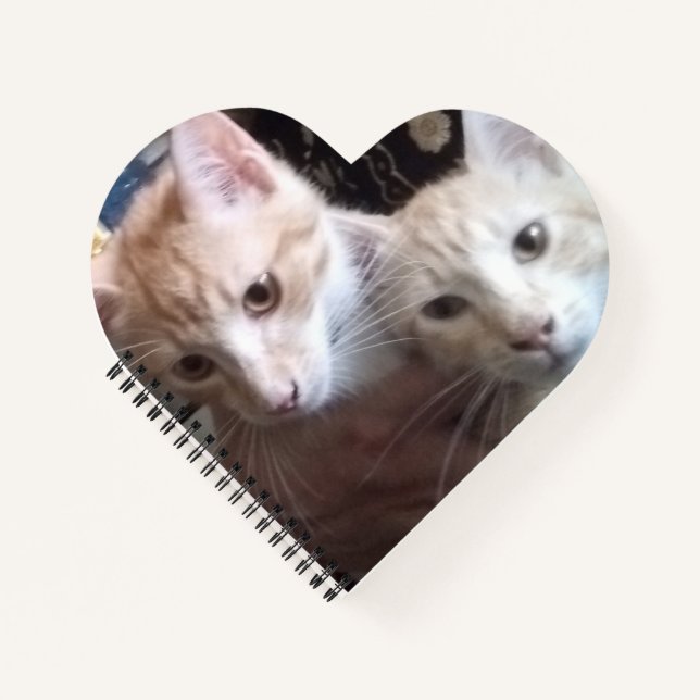 Carnet Ginger cat (Devant)
