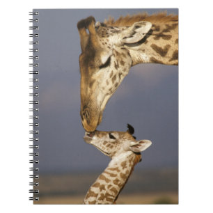 Carnet Girafe embrassant un bébé girafe