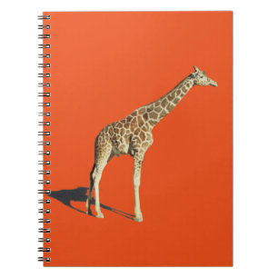 Carnet Giraffe