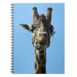 CARNET GIRAFFE