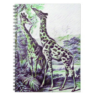 Carnet Giraffe forestière