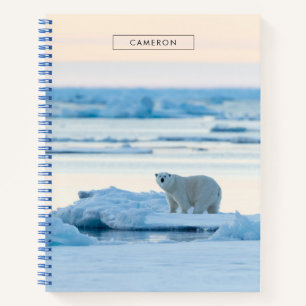 Carnet Glace et neige Ours polaire Iceberg Norvège