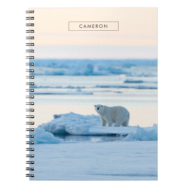 Carnet Glace et neige | Ours polaire Iceberg Norvège (Devant)