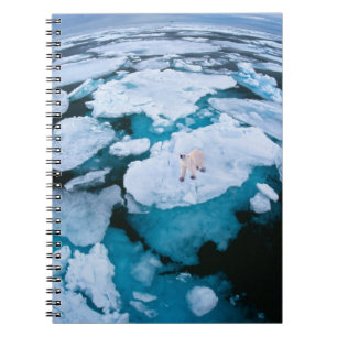 Carnet Glace et neige Ours polaire, Océan Arctique, Sva