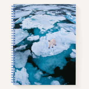 Carnet Glace et neige Ours polaire, Océan Arctique, Sva