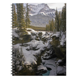 Carnet Glace et neige Parc national Jasper Alberta, Can
