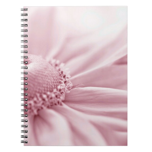 Carnet Gloriosa Daisy Macro (Devant)