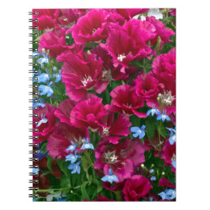 Carnet Godetia et cadeaux de lobélie