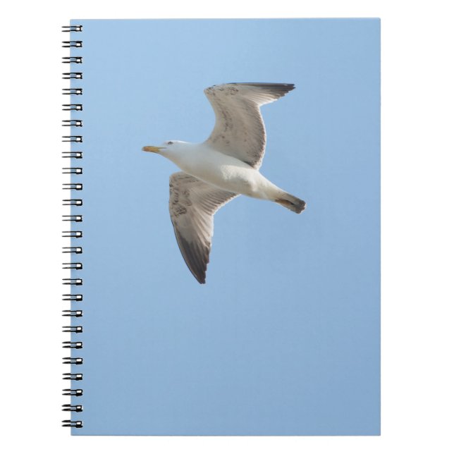 Carnet Goéland volant (Devant)