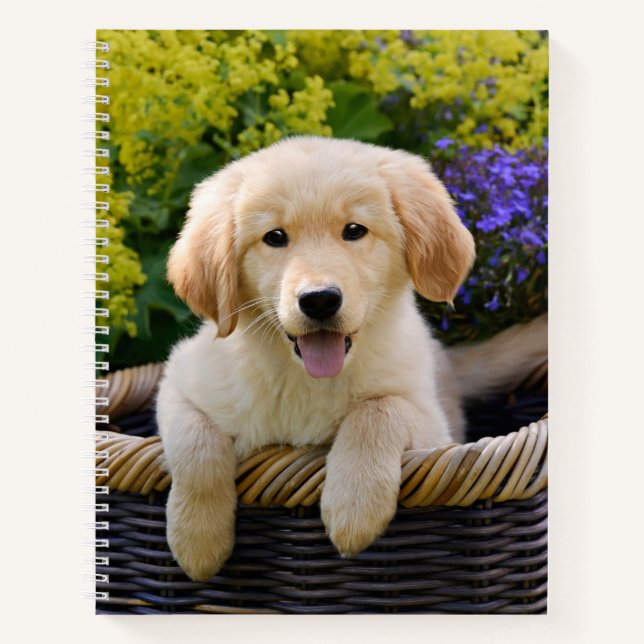 Carnet Golden Retriever Chien Chien Chien Chien Chien Chi (Devant)