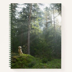 Carnet Golden Retriever Chien Pine Woodland