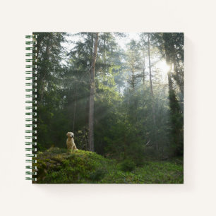 Carnet Golden Retriever Chien Pine Woodland