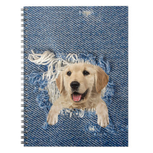 Carnet Golden Retriever dans Denim Hole
