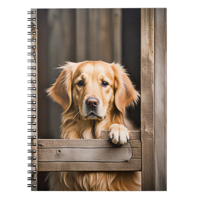 Carnet Golden Retriever dans la fenêtre de la grange (Devant)