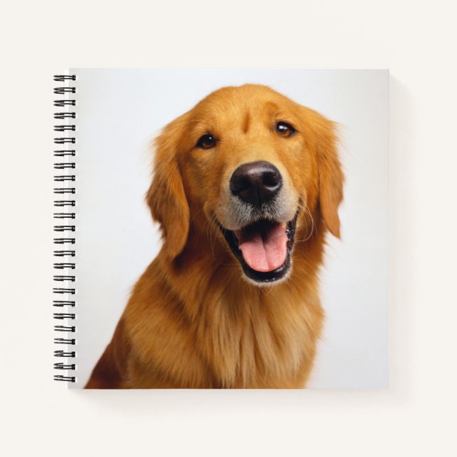 Carnet Golden Retriever Smile (Devant)