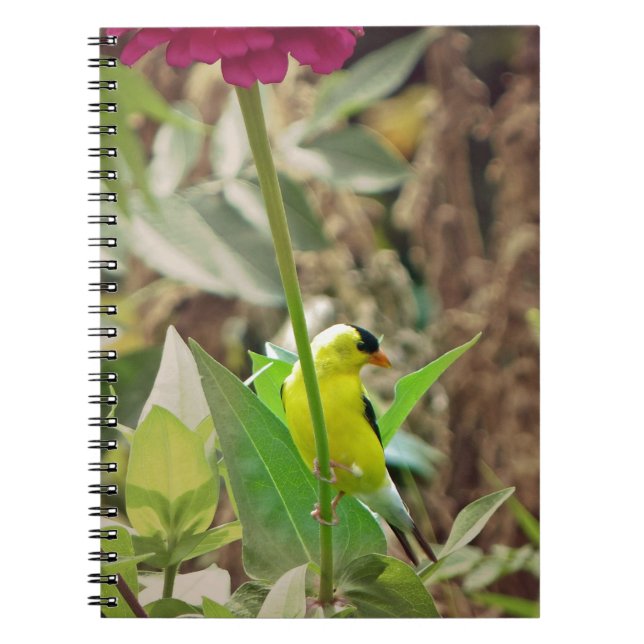 Carnet Goldfinch (Devant)
