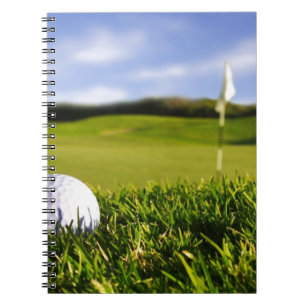 Carnet Golf Ball Course