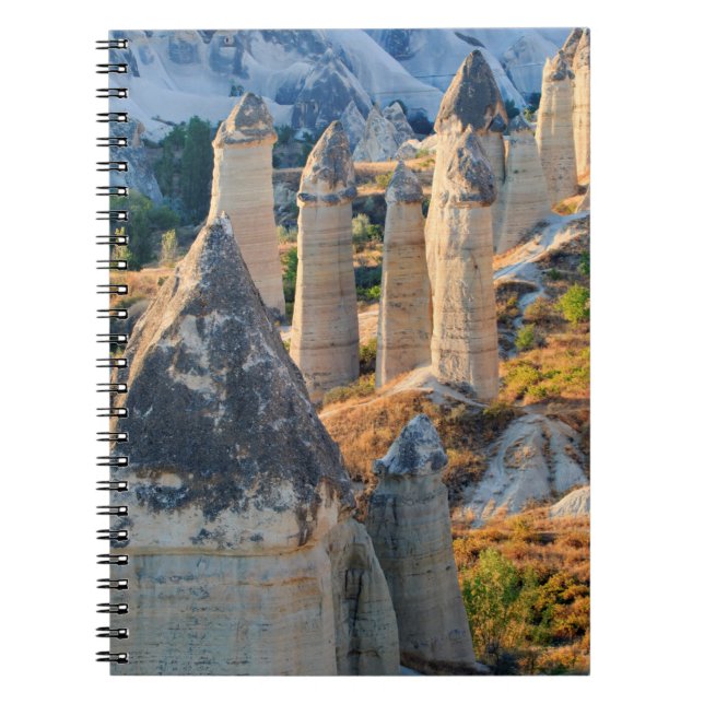 Carnet Goreme, Cheminées de fées (Devant)